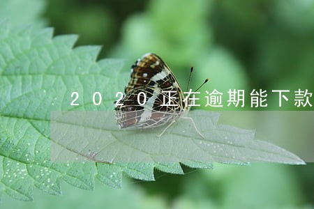 2020正在逾期能下款的平台 2020正在逾期能下款的平台