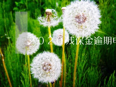 2020残保金逾期申报了补报