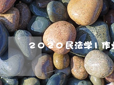2020民法学1作业2 2020民法学1作业2