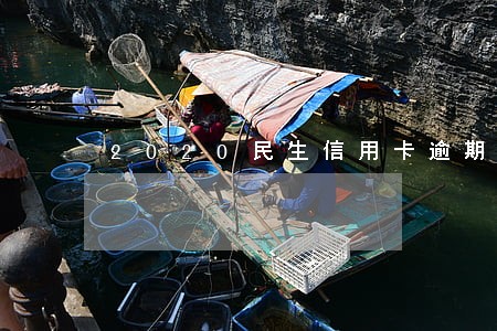 2020民生信用卡逾期抓补案件 2020民生信用卡逾期抓补案件