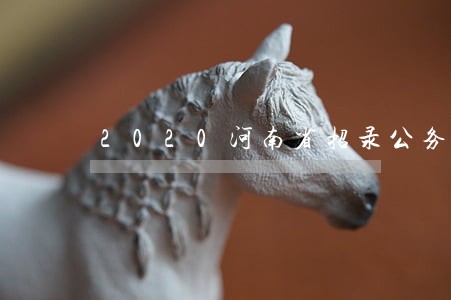 2020河南省招录公务员