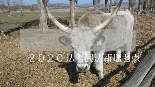 2020法考民法新增考点 2020法考民法新增考点