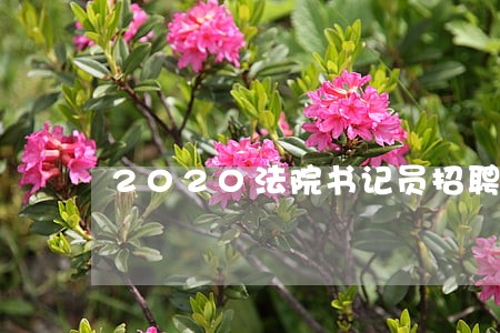2020法院书记员招聘 2020法院书记员招聘