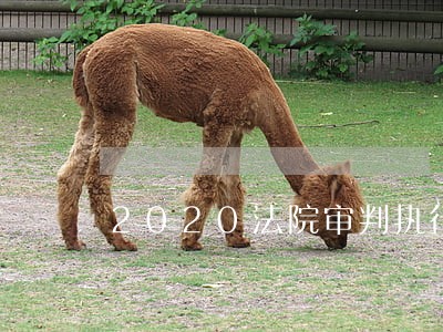 2020法院审判执行分离 2020法院审判执行分离