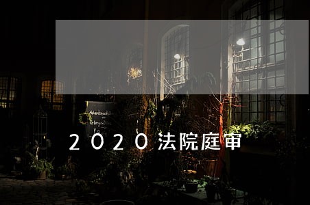 2020法院庭审