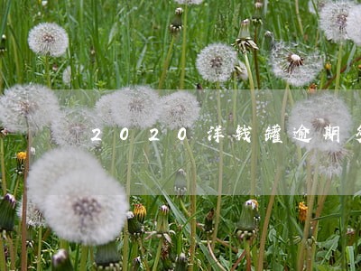 2020洋钱罐逾期多久会上征信 2020洋钱罐逾期多久会上征信