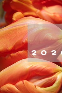 2020浦发逾期一期账单 2020浦发逾期一期账单