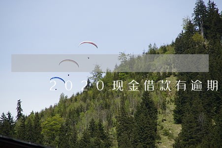 2020现金借款有逾期的吗 2020现金借款有逾期的吗