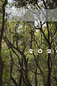 2020疫情期间信用卡逾期 2020疫情期间信用卡逾期