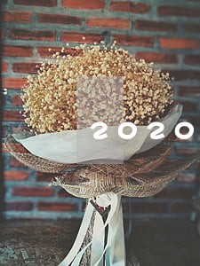 2020疫情期间逾期 2020疫情期间逾期