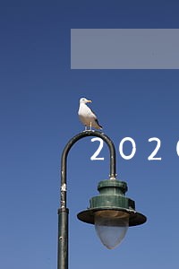 2020疫情欠钱都逾期了 2020疫情欠钱都逾期了