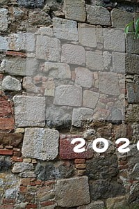 2020疫情逾期情况 2020疫情逾期情况