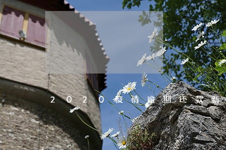 2020疫情逾期还款新规定 2020疫情逾期还款新规定