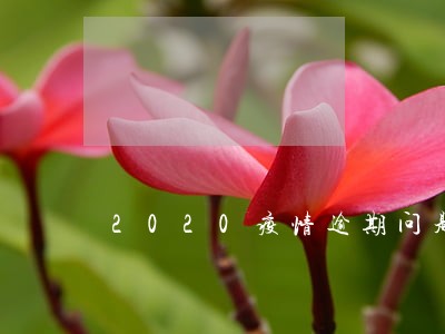 2020疫情逾期问题 2020疫情逾期问题