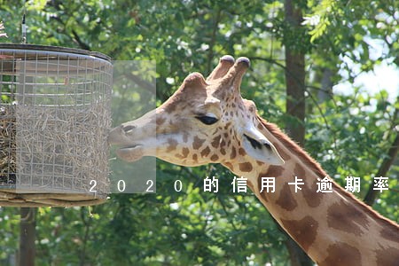 2020的信用卡逾期率 2020的信用卡逾期率