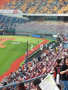 2020第四季度信用卡逾期数据