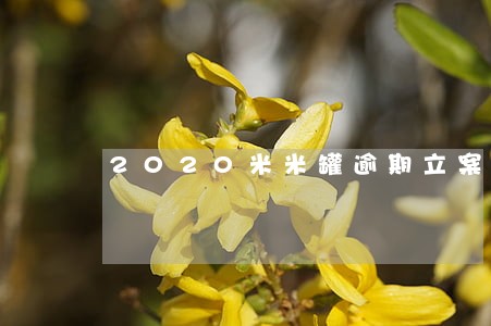 2020米米罐逾期立案