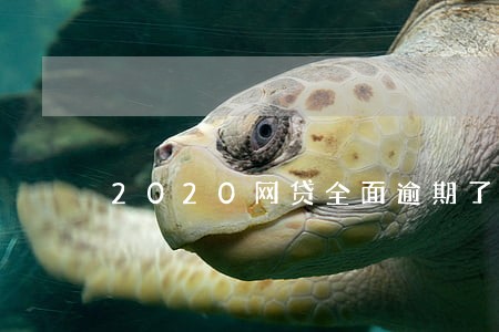 2020网贷全面逾期了 2020网贷全面逾期了