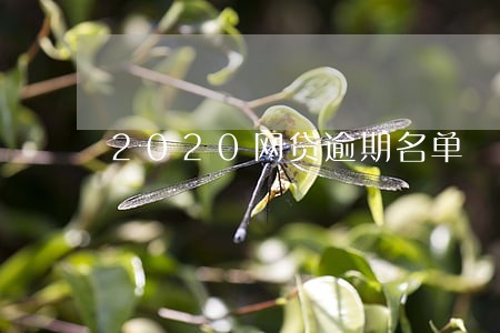 2020网贷逾期名单