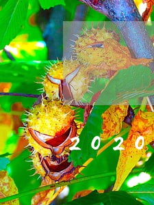 2020网贷逾期多少人了 2020网贷逾期多少人了