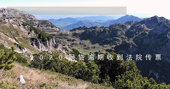 2020网贷逾期收到法院传票 2020网贷逾期收到法院传票