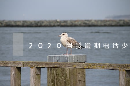 2020网贷逾期电话少了 2020网贷逾期电话少了