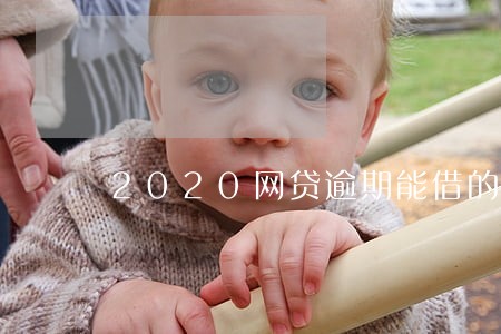2020网贷逾期能借的口子 2020网贷逾期能借的口子