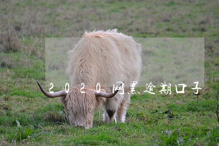 2020网黑逾期口子 2020网黑逾期口子