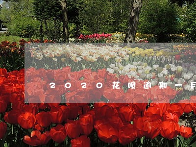 2020花呗逾期一月截图图片 2020花呗逾期一月截图图片