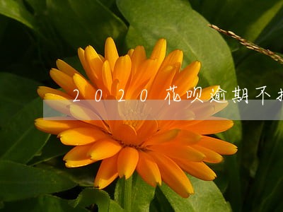 2020花呗逾期不接电话 2020花呗逾期不接电话