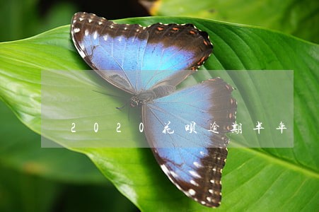 2020花呗逾期半年