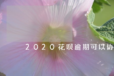 2020花呗逾期可以协商吗 2020花呗逾期可以协商吗