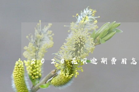 2020花呗逾期费用怎么算 2020花呗逾期费用怎么算