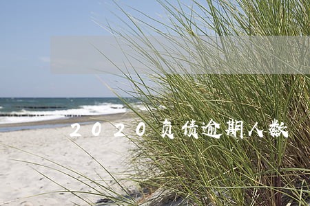 2020负债逾期人数 2020负债逾期人数