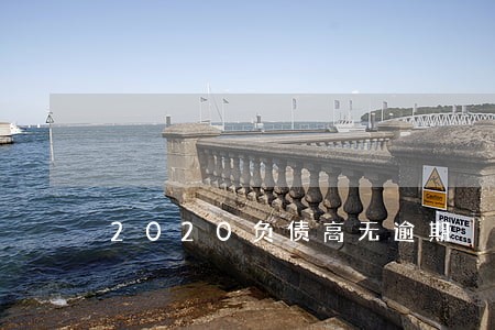 2020负债高无逾期