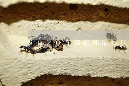 2020车贷逾期最多几天 2020车贷逾期最多几天