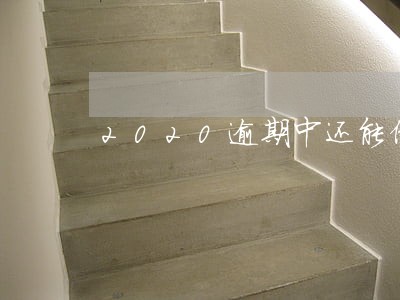 2020逾期中还能借的平台 2020逾期中还能借的平台