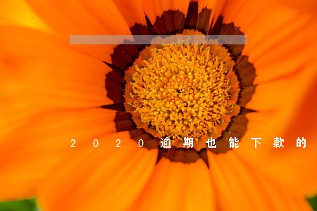 2020逾期也能下款的口子 2020逾期也能下款的口子
