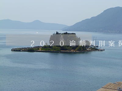 2020逾期判刑案例