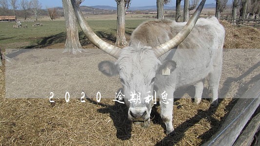 2020逾期利息