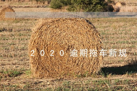 2020逾期拖车新规 2020逾期拖车新规