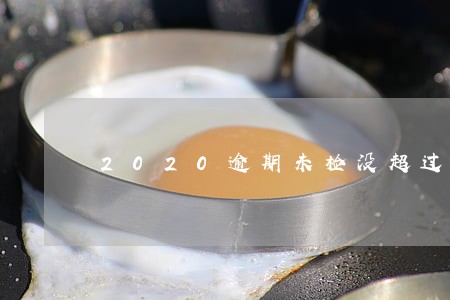 2020逾期未检没超过三个月 2020逾期未检没超过三个月