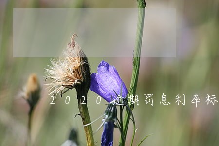 2020逾期罚息利率标准 2020逾期罚息利率标准