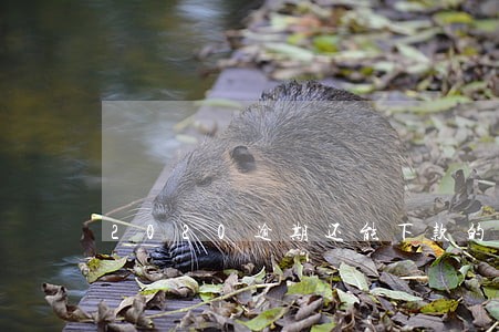 2020逾期还能下款的口子 2020逾期还能下款的口子
