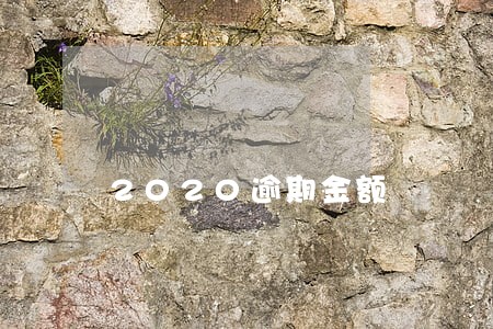 2020逾期金额 2020逾期金额