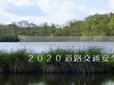 2020道路交通安全法规