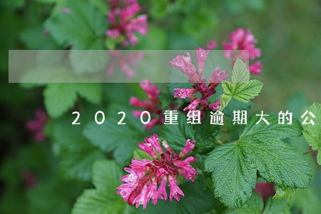 2020重组逾期大的公司 2020重组逾期大的公司