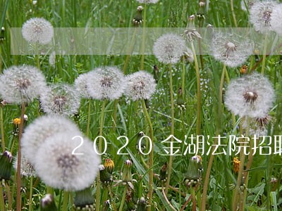 2020金湖法院招聘 2020金湖法院招聘