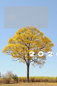 2020钱站逾期两天怎么办 2020钱站逾期两天怎么办