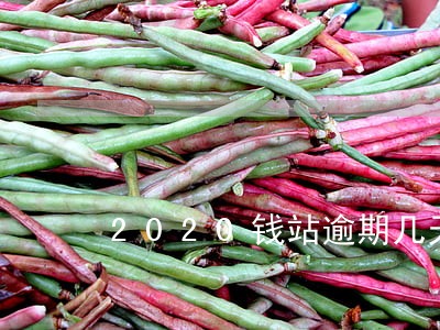 2020钱站逾期几天开始催收 2020钱站逾期几天开始催收